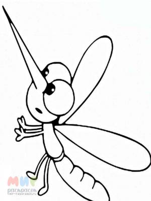 Раскраска Комар