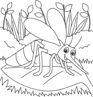 рисунок раскраски комары для детей бесцветная энтомология ребенок вектор PNG , рисунок кольца, детский рисунок, цветной рисунок PNG картинки и пнг рисунок для й загрузки