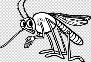 Москитное насекомое Книжка-раскраска, комар, млекопитающее, ребенок, насекомые png