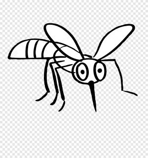 Рисунок Mosquito Line art, комар, белый, монохромный png