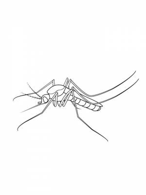 Картинка Комар  в формате  для детей