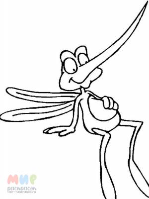 Раскраска Комар