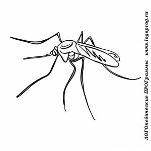 раскраски на тему комар для детей