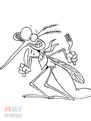 Раскраска Комар