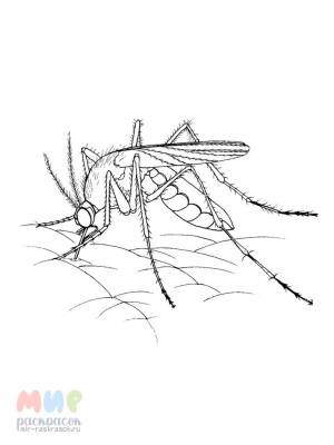 Раскраска Комарик укусил воздушный шарик