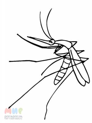 Раскраска Комарик укусил воздушный шарик