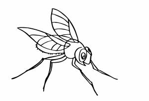 Комар рисунок для детей карандашом