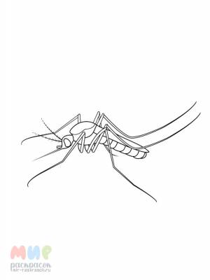 Раскраска Комарик укусил воздушный шарик