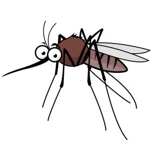 DataLife Engine > Версия для печати > Рисунок комар для детей