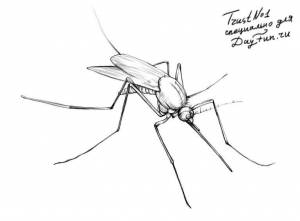 раскраски комариков комары комар