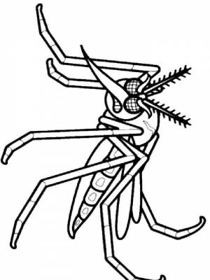 Раскраски Комар   в формате