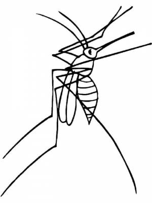 Раскраски Комар   в формате