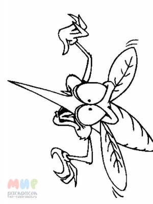 Раскраска Комар