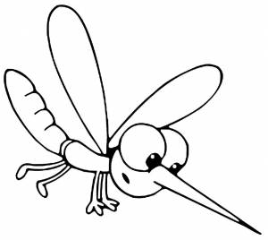 Картинка раскраска комар