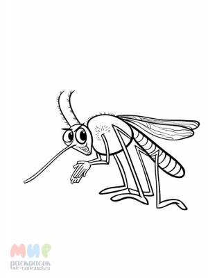 Раскраска Комар ночной кошмар