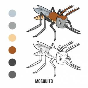 Книжка-раскраска комар