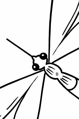 Раскраска Комар для малышей