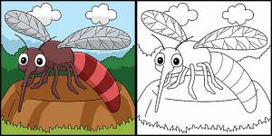 рисунок раскраски комары для детей бесцветная энтомология ребенок вектор PNG , рисунок кольца, детский рисунок, цветной рисунок PNG картинки и пнг рисунок для й загрузки