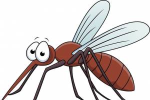 Комар детский рисунок