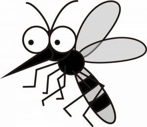 Картинки Комар для детей