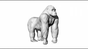 mountain gorilla 3d print 3D Принт Модель in Скульптуры 3DExport