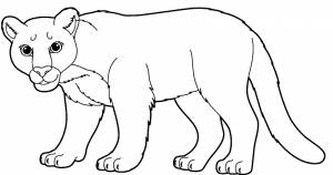 Раскраска «Пума»