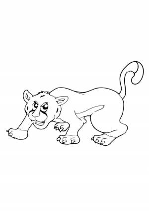 Раскраска пума