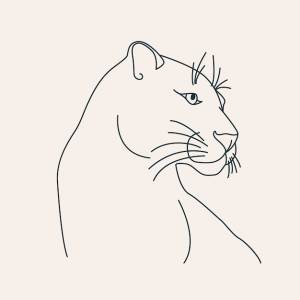 Пума в стиле линии раскраска значок шаблона логотипа эзотерическая иллюстрация для салона красоты астролог магазин