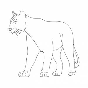 Puma в линейном стиле рисования векторная иллюстрация
