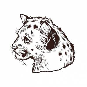 Ребенок-пума, портрет экзотического животного, изолированных эскиз