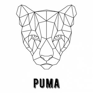 Геометрическое искусство пума