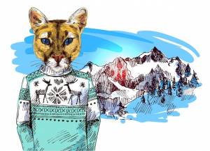 Пума в вязаном свитере в горах