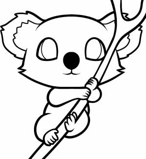 Раскраска Коала