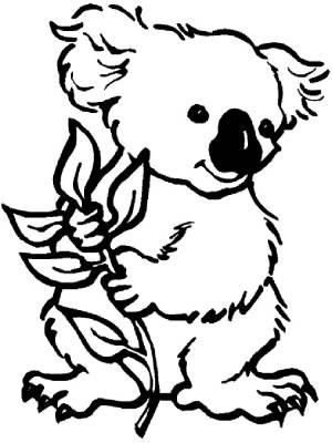 Раскраски Коала