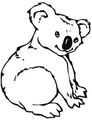 Раскраски Коала