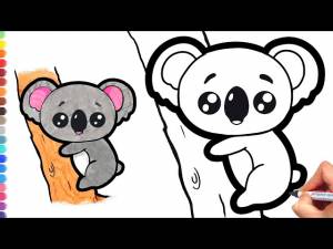 Как нарисовать коалу