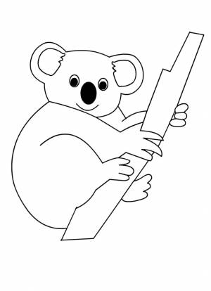 Раскраска Коала