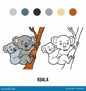 Книжка-раскраска, коала иллюстрация вектора