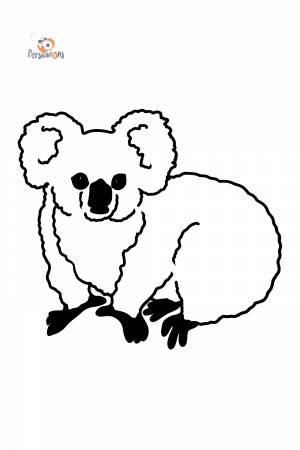 Раскраска коала