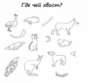 Раскраски Хвосты
