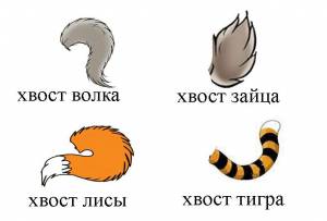 Хвост животного рисунок