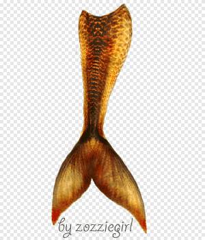Русалка, русалка, хвост, легенда png