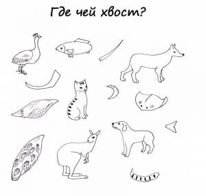 Расраски Хвосты