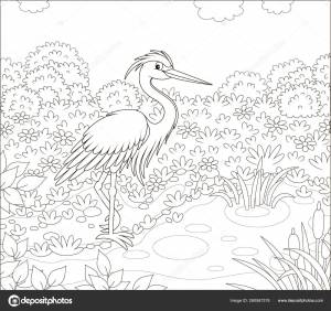Heron Small Lake Cane Grass Flowers Meadow Summer Day Black Stock Vector by ©AlexBannykh 260567378