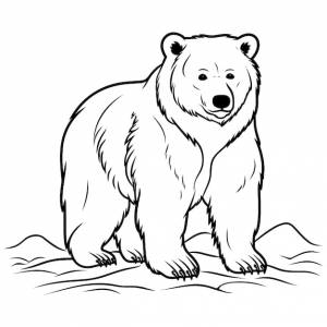 Раскраска медведь для детей