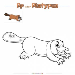 Раскраска утконос мультфильм