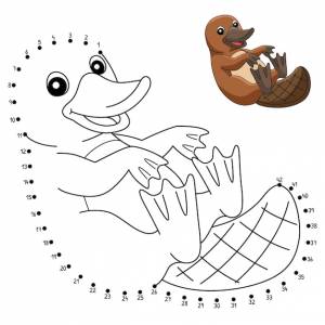 Точка за точкой утконос животное раскраска для детей