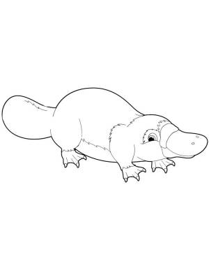 10 Idéal Coloriage Australie Images