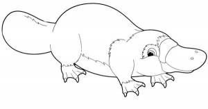 10 Idéal Coloriage Australie Images
