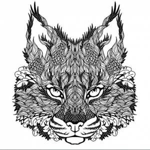 Раскраски пума, Раскраска Узорная пума узоры